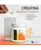 Creatina Monohidratada y Micronizada Primetech 300 gramos características